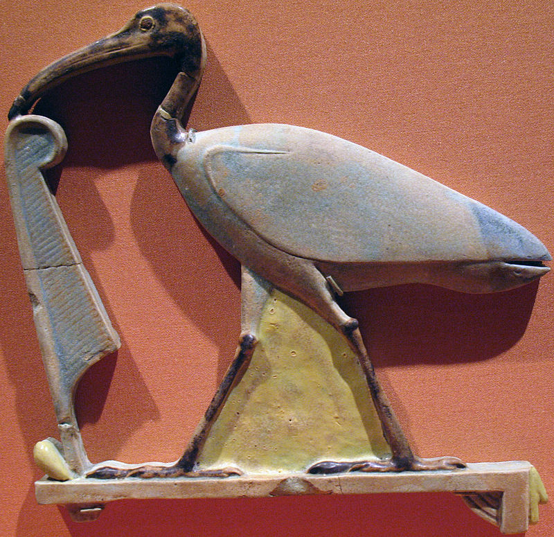 ibis as thoth